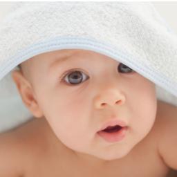 SurrogacyWeb's profile picture. Surrogacy News & Information | Noticias e Información de Subrogación