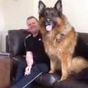 terry temple - @bigjoedarts501 - Twitter