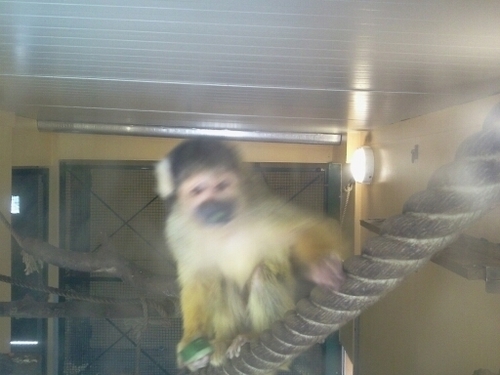 TarersAnonyme's profile picture. Voici le compte officiel de s Tarés Anonymes