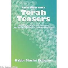 TorahTeasers's profile picture. Questions to engage students to the text of the Chumash