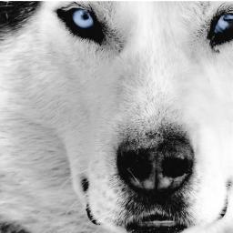 yussefn's profile picture. 