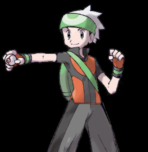 Im a Male trainer of the Unova Region
