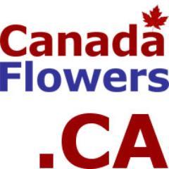 Flowers.ca Inc. is Canada Flowers, Canada's National Florist. We are Canada's Top Member FTD® Florist & Teleflora's #1 Canadian florist. 1500+ Original Flowers.
