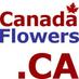 Flowers.ca Inc. (@flowersca) Twitter profile photo