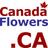 flowersca's profile image
