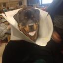 Bailey - @bailey_booher - Twitter