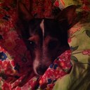 Jess Sutton - @JessieSutton123 - Twitter