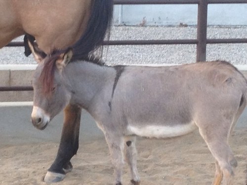 JeffWenig's profile picture. 