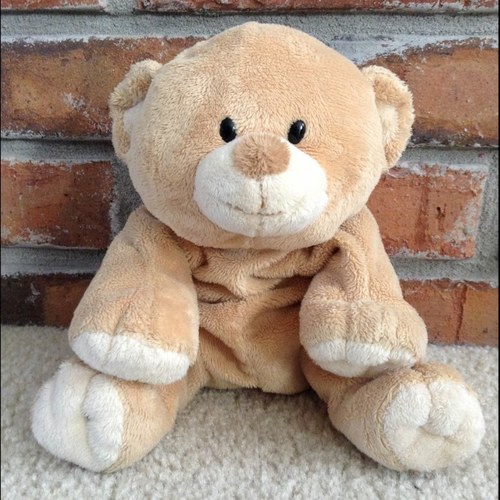 Hello my name is Paaws. I am a bear. Im fun to talk to and a great friend. I love to play sports and hang out with my friends.