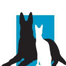 CntrlValleyVet's profile picture. We are a full service veterinary hospital, located in the heart of Glenmore. Offering pet laser therapy, ultrasonography, Royal Canin diets & quality vet care!