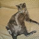 David Carvalho - @dcarvalho89 - Twitter