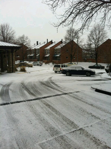 DLalupe's profile picture. Profesional universitaria(UCV) venezolana preocupada por mi país