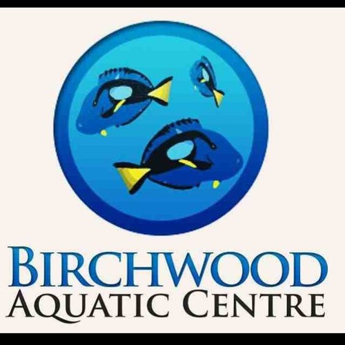 BirchwoodAC's profile picture. A quality aquatic experience!