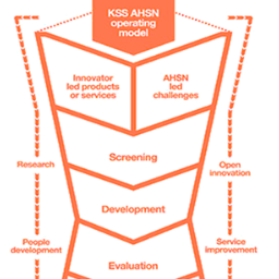 Healthcare delivery, improvement, innovation; problem solving for patient, population and professional benefits.