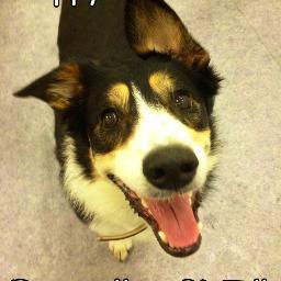 LizzieMcDonagh's profile picture. 