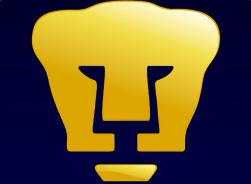 capi_rebel's profile picture. 