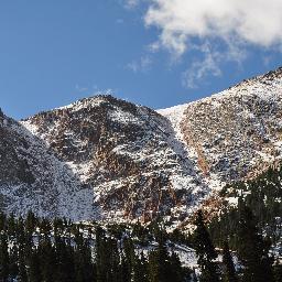 brascomastiff's profile picture. 