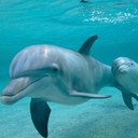 judith self mccoy - @MccoySelf - Twitter