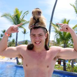 SteveRenzulli's profile picture. 