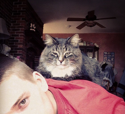 GiseleTHEshell's profile picture. Pig farmer, stay at home cat, Alpha Male... You can find me in St. James