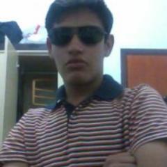 Prazer Fox