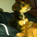 jose danilo velasco - @altosdelcabo - Twitter