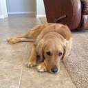 Deb Porter - @debwolfwoman - Twitter