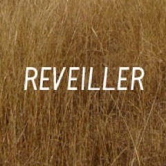 Reveiller is an online inspiration resource, a visual storytelling library and not so much your typical lifestyle blog.