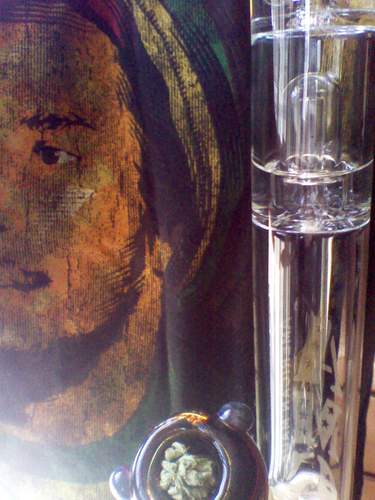 CiskoKid420's profile picture. ~~ In association with The One and Only World Famous @TeamSeshVid !!! ~~