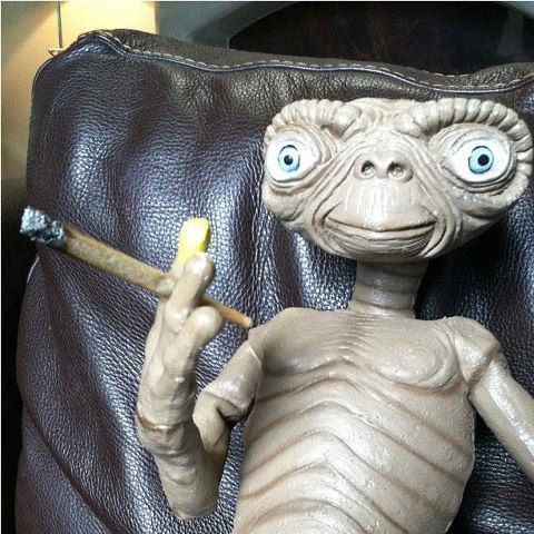 nememeee's profile picture. 