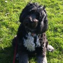 sonja knight - @solimpeci - Twitter