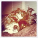 Ann Westcott - @SLPPunk - Twitter