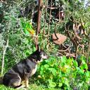 rusty andrews - @xxruckous - Twitter