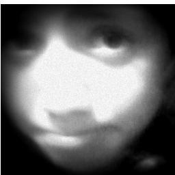 carolinacaccave's profile picture. zampinita de corazon :3