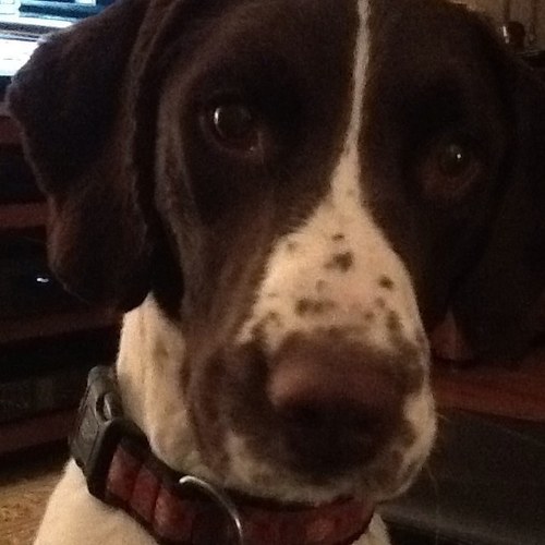 GTGT241's profile picture. 