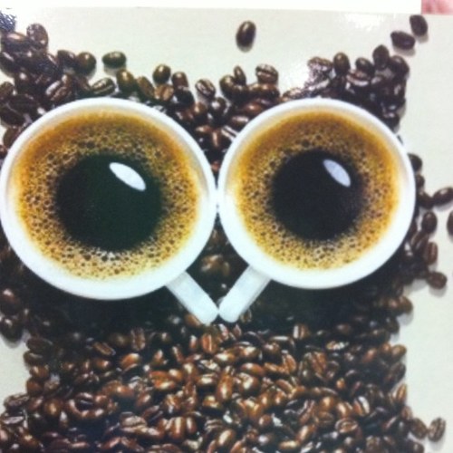 CafePremium_co's profile picture. Publicación colombiana especializada en #café. Coffee lovers