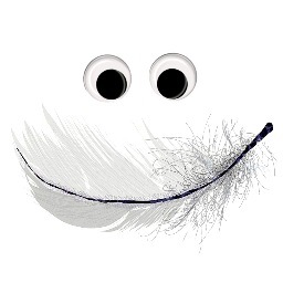 kooqikoo's profile picture. tickle life