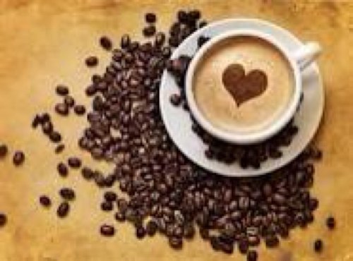 Café Orgánico Gourmet, con hongo Ganoderma Lucidum que ayuda a que el café sea alcalino, mejora la circulación sanguinea, baja de peso, da energía, etc