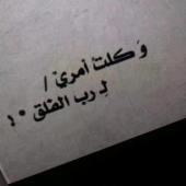 tlal1234593's profile picture. 