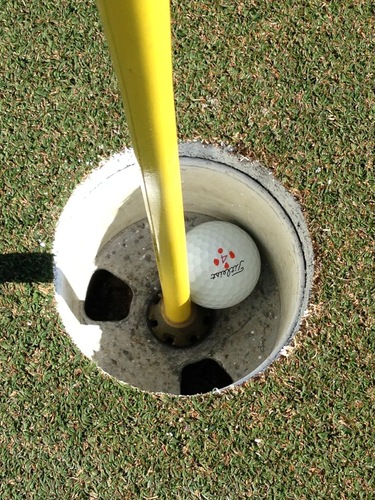 Founding member of FL Del Fuego Golf Chapter. Play to a 3 which isn't bad for a full time business owner. Love playing great golf courses!