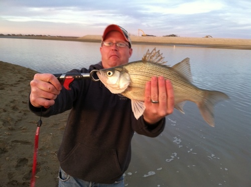 NCOFishing's profile picture. Live to fish, Nuggets, Rockies, Broncos and Avalanche fan. -N. Colorado grad. Married September 24th, 2011. I tweet about sports and fishing!