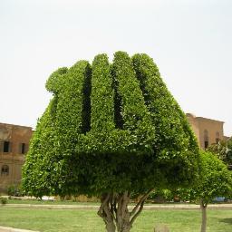 aswani99173907's profile picture. 