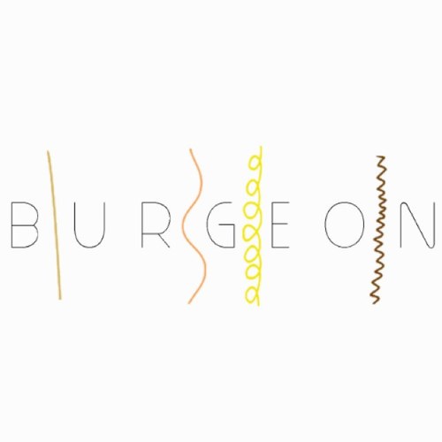 BurgeonProducts's profile picture. Burgeon which means to flourish; to grow is an all natural hair line developed by Hairstylist Myisha Poles-Pettigrew & Dior Rich