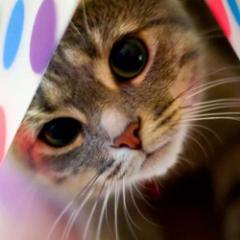 #Всем #ОтличногоНастроения!))))) #Follow!) #ВзаимныйФолловинг!) Партнерская программа - http://t.co/X1pWrkCEk8