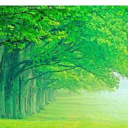 Sharafnews's profile picture. 