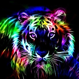 I'm gay and go to Clemson. Tweet that! #teamvers #gayboy #gay #clemsonuniversity