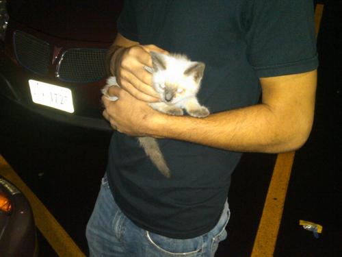 JSpelunky's profile picture. Raiding delis since '98