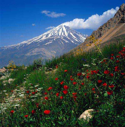 Malak