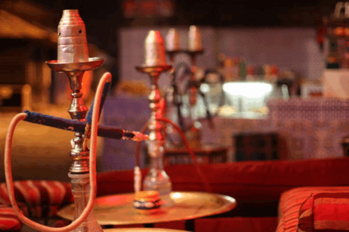 SafeShisha's profile picture. Advocating for safe responsible Shisha Service Providers in Alberta