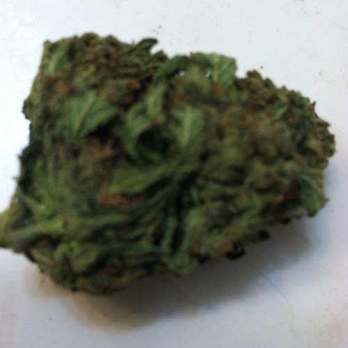 Have two loves green and money. Love life and all that comes with it. You share the same qualities hit me up on KiK, only in Vegas is where it is at!!!!!